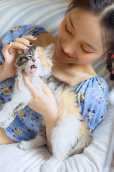 海盗在线